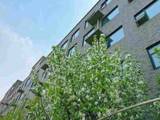 {ܻ(lin)W(wng)j(lu)g(sh)3+2